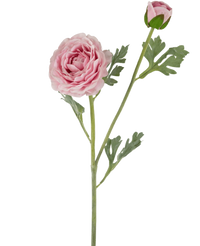 Kunstranonkel Real Touch Roze 60cm