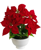 De Kunstplant Kerstster 44 cm rood is een witte pot met een kerststerplant met levendige rode, stervormige bladeren en groen blad tegen een effen witte achtergrond.