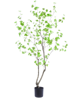 De Kunstplant Enkianthus 180 cm is een hoge, slanke potplant met dunne takken en heldergroene bladeren tegen een effen witte achtergrond.