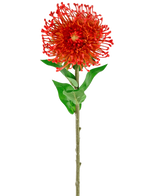 De Kunstbloem Protea 73 cm rood heeft levendige rode bloemblaadjes, groene bladeren en een lange slanke steel, waardoor het een opvallende kunstbloem is die blijvende schoonheid toevoegt aan elke ruimte.