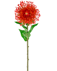 Kunstbloem Protea 73 cm rood