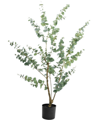 Kunstplant Eucalyptus 150 cm