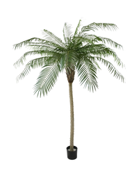 Kunstpalm Phoenix De Luxe 210 cm