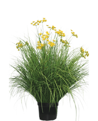 Kunst Grasplant Asteraceae 100 cm brandvertragend