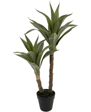 De Kunstplant Agave 76 cm heeft twee lange, dikke stelen met puntige groene bladeren die lijken op een agave, gepresenteerd in een zwarte plastic pot tegen een effen witte achtergrond.