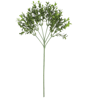 Een enkele Kunsttak Buxus 47 cm UV brandvertragend met meerdere takken van kleine, ovale bladeren wordt getoond tegen een effen witte achtergrond.