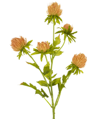 Kunstbloem Distel 66 cm perzik
