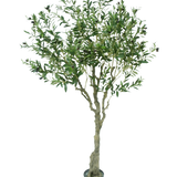 De Kunst Olijfboom 200 cm heeft een slanke lichtbruine stam, talloze groene bladeren en kleine donkere olijven op de takken. Tegen een witte achtergrond oogt deze kunstolijfboom levensecht.