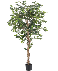 Kunstplant Ficus 180 cm brandvertragend