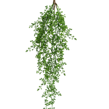 De Kunst hangplant Senecio 76 cm heeft een enkele tak van kunstgroen met kleine, trosvormige groene bladeren die elegant naar beneden hangen tegen een effen witte achtergrond.