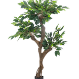 De Kunstplant Ficus Crazy 120 cm is een hoge kunstboom in pot met meerdere bruine stammen en dicht groen blad, afgebeeld tegen een effen witte achtergrond.
