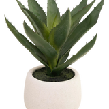 De Kunstplant Aloë Vera 28 cm wordt geleverd in een eenvoudige, ronde pot van wit keramiek, met levensechte groene, stekelige bladeren tegen een effen witte achtergrond.