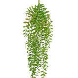 De Kunst hangplant Pumila 89 cm heeft kleine, ovale groene bladeren aan meerdere hangende stelen, tegen een effen witte achtergrond.