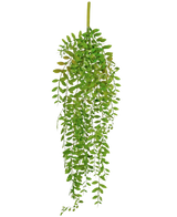 De Kunst hangplant Pumila 89 cm heeft kleine, ovale groene bladeren aan meerdere hangende stelen, tegen een effen witte achtergrond.
