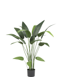 Kunstplant Heliconia 110 cm