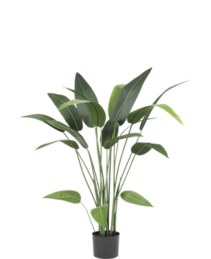 De Kunstplant Heliconia 110 cm, met lange stelen en brede groene bladeren, is ideaal voor kleine ruimtes inrichting of als kunstplant badkamer accent, mooi tegen een effen witte achtergrond.