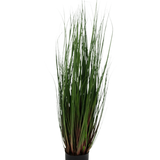 De Kunst Grasplant Onion 90 cm brandvertragend is een siergras in pot met lange, dunne groene bladeren die roodpaars getint zijn aan de basis, tegen een effen witte achtergrond.