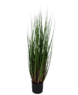 De Kunst Grasplant Onion 90 cm brandvertragend is een siergras in pot met lange, dunne groene bladeren die roodpaars getint zijn aan de basis, tegen een effen witte achtergrond.