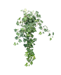 Kunst Klimop Deluxe Groen 60cm