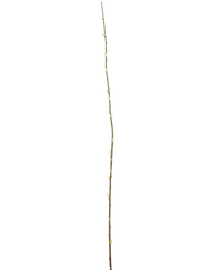 Kunstbloem Salix willow 150 cm