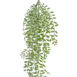 De Kunst hangplant Pumila/Eucalyptus 76 cm heeft groene, smalle bladeren en slanke stengels die naar beneden vallen tegen een effen witte achtergrond.