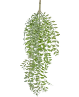 De Kunst hangplant Pumila/Eucalyptus 76 cm heeft groene, smalle bladeren en slanke stengels die naar beneden vallen tegen een effen witte achtergrond.