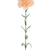 Kunstbloem Anjer 69 cm perzik