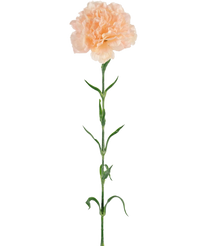 Kunstbloem Anjer 69 cm perzik