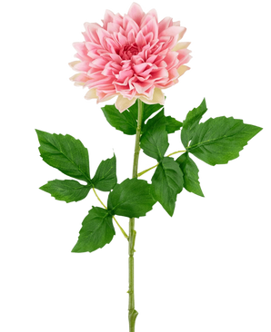 De Kunst Georgine Real Touch Roze 70cm heeft een enkele roze dahlia met gelaagde bloemblaadjes, een lange groene steel en verschillende bladeren, tegen een effen witte achtergrond.