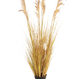 De Kunst Grasplant Sorghum 130 cm brandvertragend, met zijn slanke geelgroene bladeren en vederlichte bruine pluimen, benadrukt de nieuwste woontrend tegen een effen witte achtergrond.