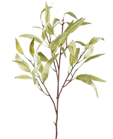 De Kunsttak Eucalyptus Niphophila 108 cm groen heeft een enkele bruine stam met meerdere dunne takken, elk versierd met langwerpige, lichtgroene bladeren, tegen een effen witte achtergrond.