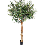 De Kunst Olijfboom 190 cm heeft een gedraaide lichtbruine stam en dichte groene bladeren die een mediterrane sfeer toevoegen. Tegen een effen witte achtergrond is hij perfect voor een stijlvolle inrichting binnenshuis.