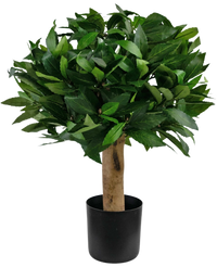Kunstplant Laurier UV d30 cm