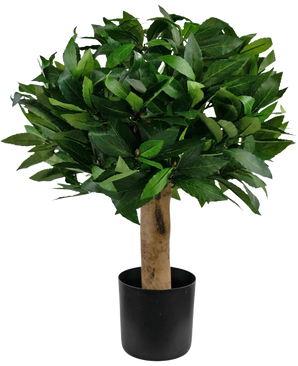 De Kunstplant Laurier UV d30 cm is een compacte kunstboom met dichte groene bladeren en een dikke bruine stam, in een eenvoudige zwarte pot, tegen een effen witte achtergrond.