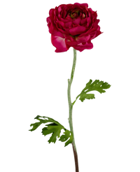 Kunstbloem Ranunculus 51 cm donkerroze