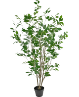 De Kunstplant Ficus 150 cm is een kunstboom in pot met meerdere slanke bruine stammen en weelderige groene bladeren tegen een effen witte achtergrond.