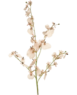 De Kunsttak Orchidee 80 cm roze heeft een enkele steel van lichtroze kunstorchideeën met meerdere bloesems en kleine knoppen op dunne groene takken, tegen een eenvoudige witte achtergrond.