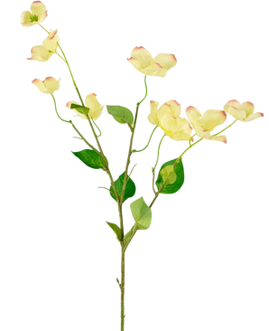 Het Kunstkornoelje Real Touch Lichtgeel 74cm heeft een enkele steel met groene bladeren en verschillende lichtgele kornoeljebloemen met roze getipte bloemblaadjes, tegen een effen witte achtergrond.
