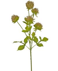 Kunstbloem Distel 66 cm bruin