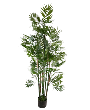 De Kunstplant Parlour 180 cm is een hoge kunstpalm met meerdere slanke stelen en levendig groene bladeren in een kleine zwarte pot, tegen een witte achtergrond.