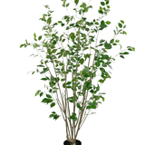 De Kunstplant Ficus 180 cm is een hoge kunstboom in pot met meerdere slanke bruine stammen en dichte groene bladeren tegen een effen witte achtergrond.