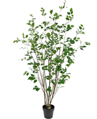 Kunstplant Ficus 180 cm