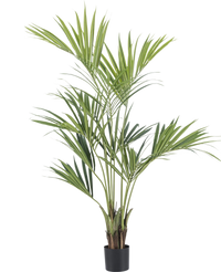 Kunstplant Kentia Palm 150 cm