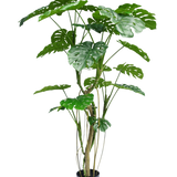 De Kunstplant Monstera 210 cm is een hoge potplant met meerdere lange stelen en grote, glanzende, gespleten groene bladeren die lijken op een echte monstera. Hier afgebeeld tegen een effen witte achtergrond.