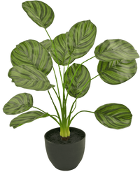 Kunst Calathea 58 cm donker groen