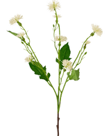 De Kunstbloem Daisy Spray 54 cm witstraal heeft een enkele groene steel met vertakte trossen kleine, witte margrietachtige bloemen en grillige groene bladeren, tegen een effen witte achtergrond.