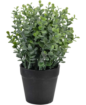 De Kunstplant Pumila 23 cm is een kleine groene potplant met ronde bladeren in een eenvoudige zwarte pot, afgebeeld tegen een witte achtergrond.