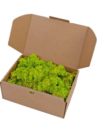 Rendier Mos Spring Green 500 gram