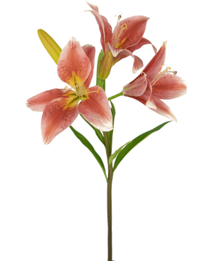 Op een steel van de Kunstbloem Aziatische Lelie 66 cm oud roze staan verschillende bloeiende roze lelies met groene bladeren tegen een effen witte achtergrond.