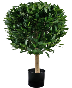De Kunstplant Laurier UV d55 cm heeft een rechte stam en een dichte, ronde tros glanzend groene bladeren, gepresenteerd in een zwarte bak tegen een witte achtergrond.